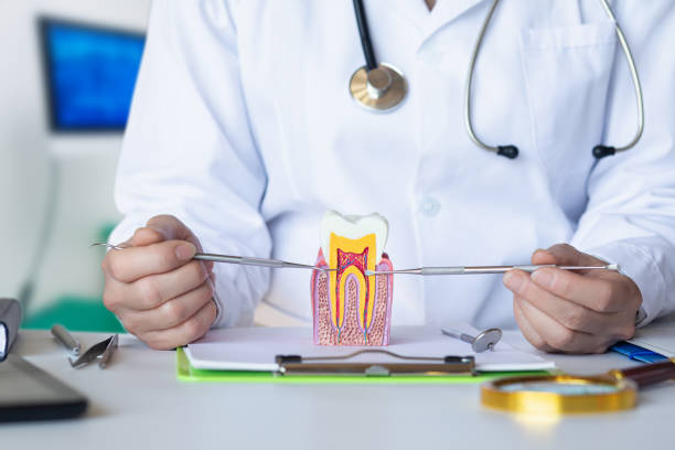 Best Emergency Root Canal Therapy in Hardin, MT